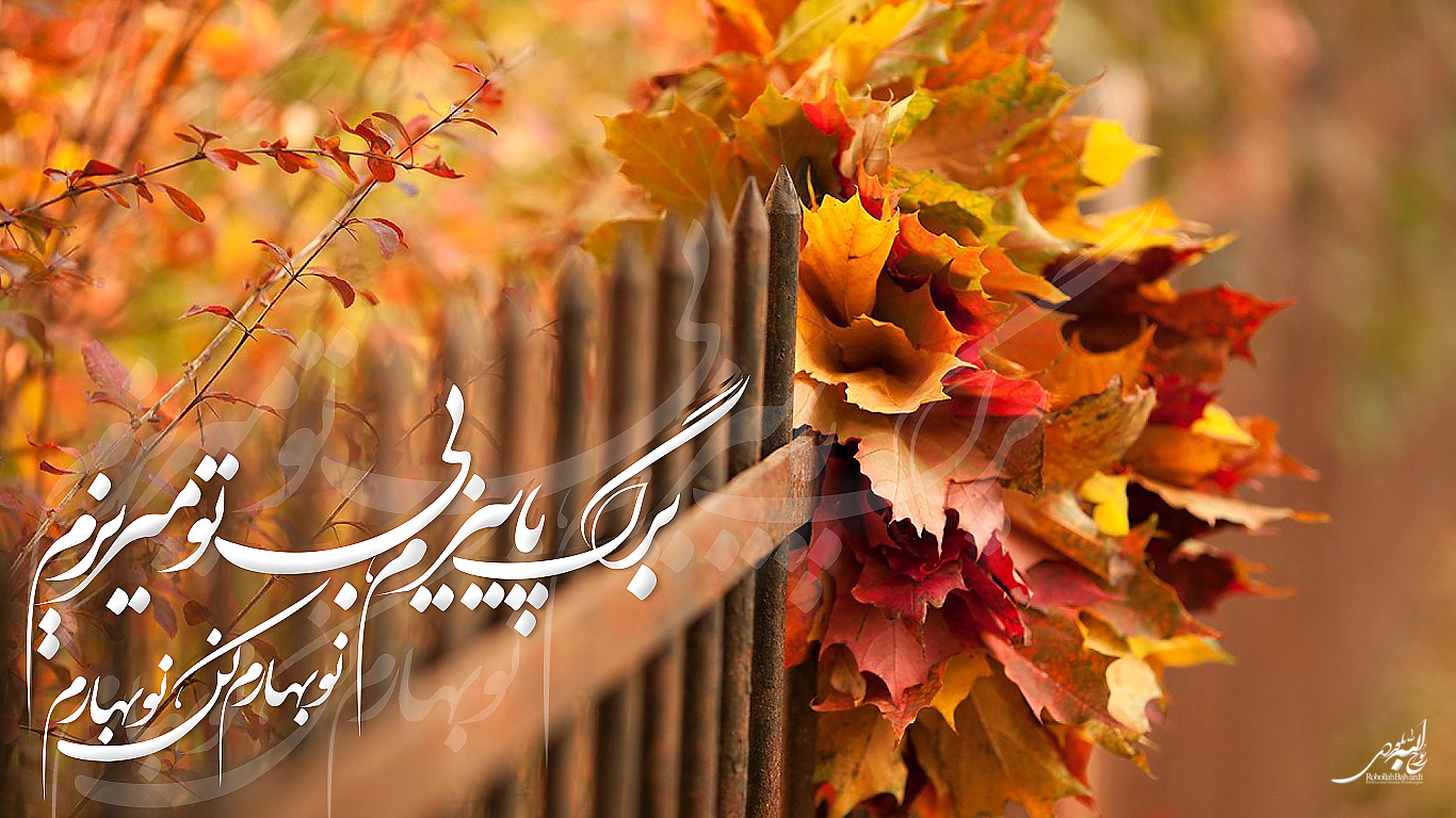شروع به کار رسمی پایگاه فونت پارسی دیما